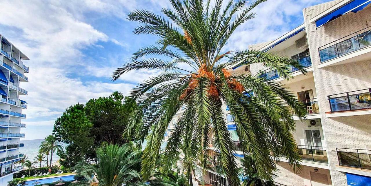 מארבלה Skol Apartments מראה חיצוני תמונה